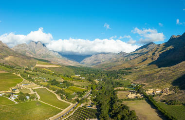From Urban Exploration to Safari Excitement: A South African Odyssey