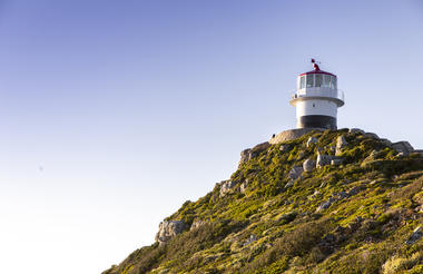 From Urban Exploration to Safari Excitement: A South African Odyssey