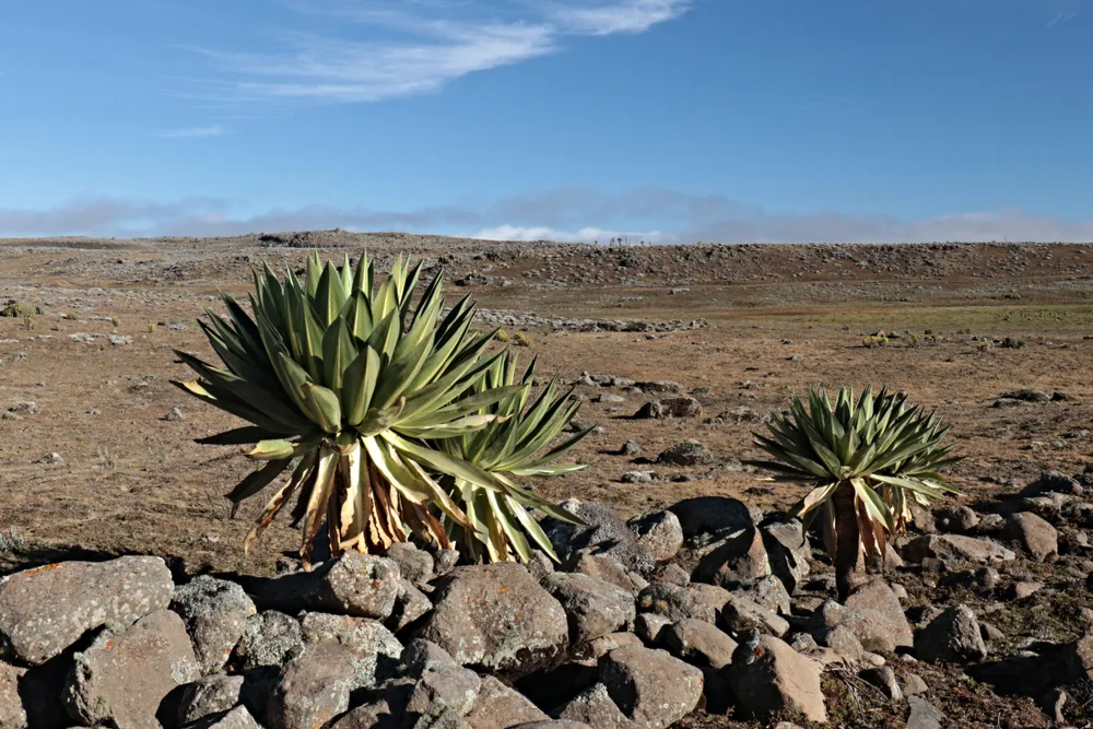 Adventure & Outdoor Activities