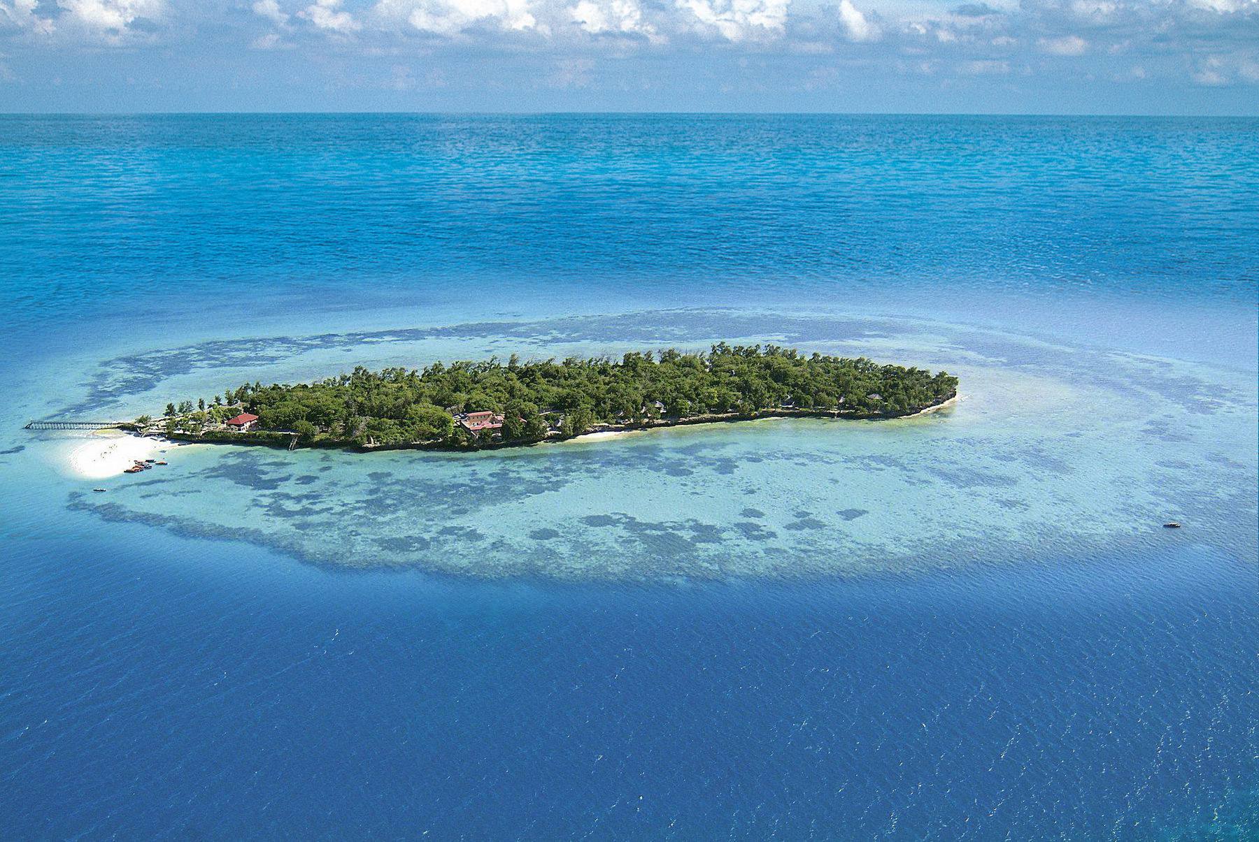 A scenic panorama of Saadani National Park, showcasing a diverse landscape where the savannah meets the Indian Ocean, with wildlife such as elephants or giraffes visible along the coastline, under a vibrant sunset sky, highlighting the unique blend of marine and terrestrial habitats.